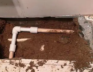 永州市测漏水哪家好