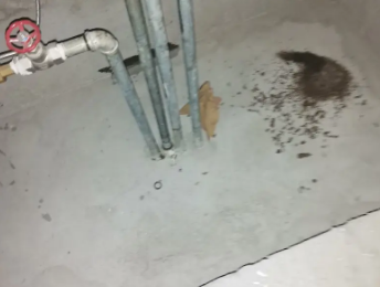 永州市卫生间测漏水价格明细